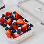 Icona Vacuum Seal Containers for Food Storage